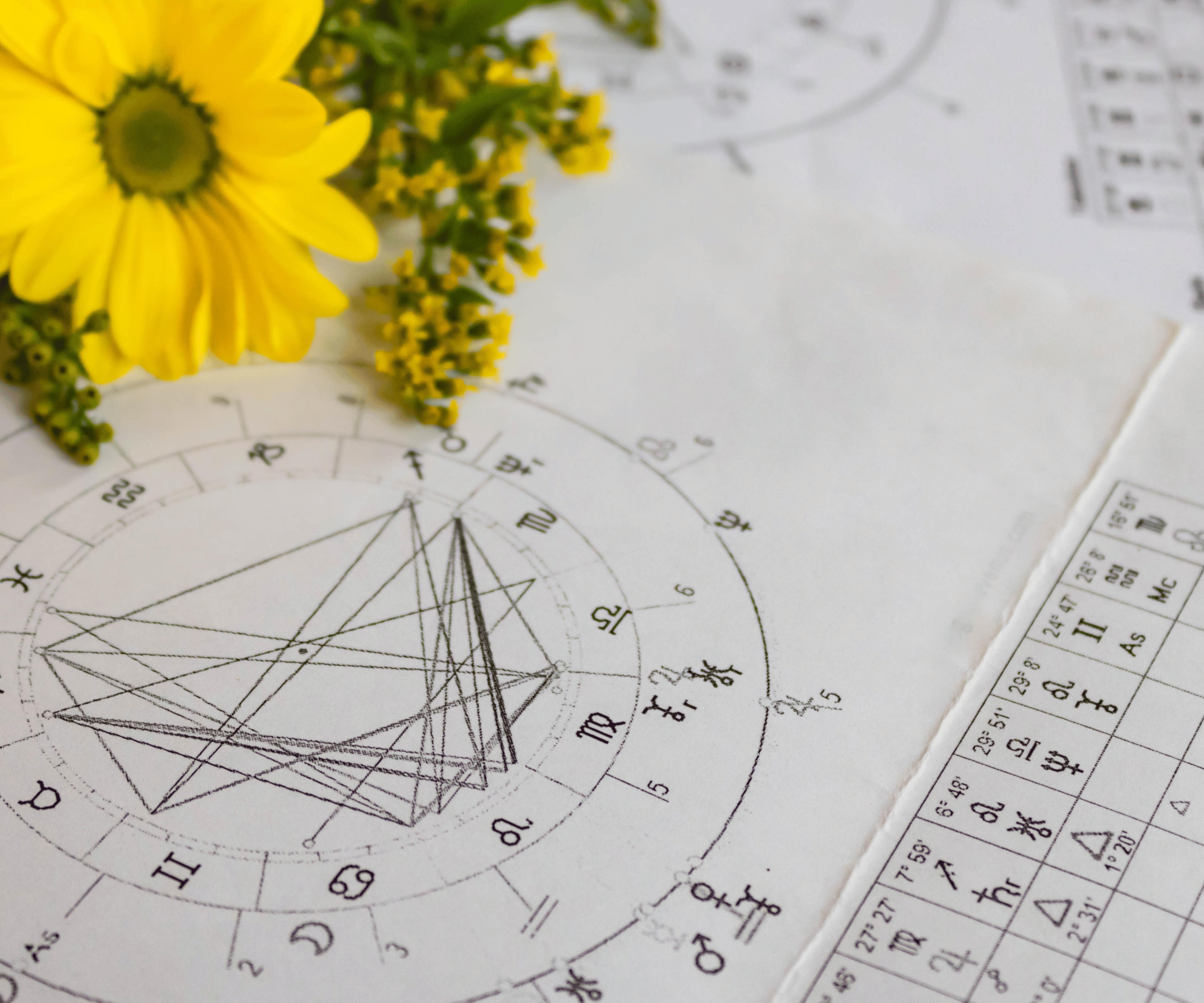 design ohne titel (5)